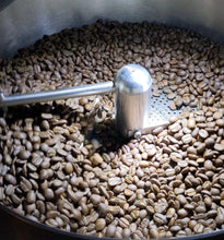 Load image into Gallery viewer, Bee's Knees