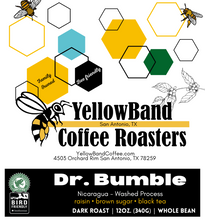 Load image into Gallery viewer, Dr. Bumble
